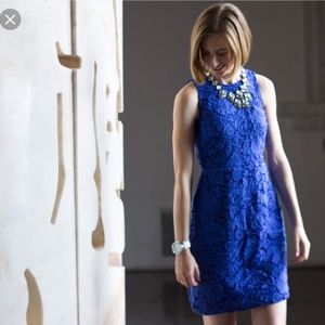 J. Crew Electric blue lace sheath dress
